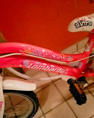 Bicicletta