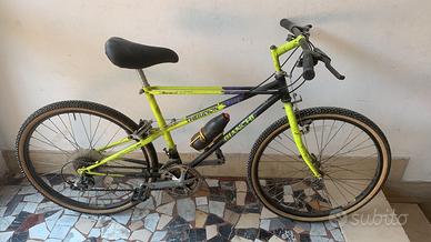 bici bianchi theridion ragno
