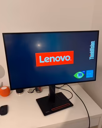 Lenovo ThinkVision P27h-20 da 27 pollici