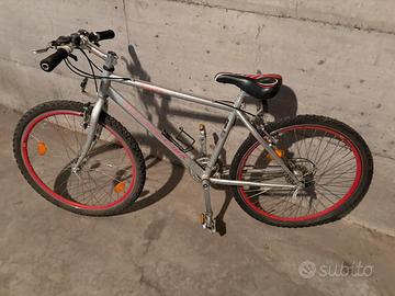 Bicicletta Bottecchia