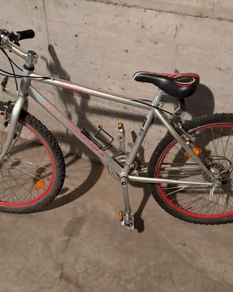 Bicicletta Bottecchia