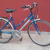  Citybike 