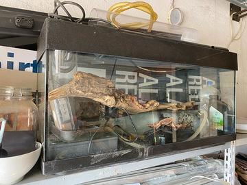 acquario 80 litri