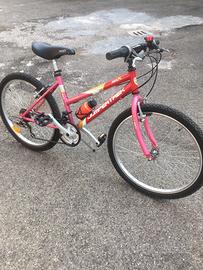 Bici bimba 24 seminuova