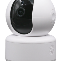 Telecamera WiFi con riconoscimento umano Autotrack