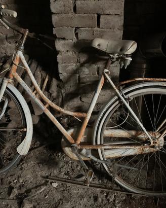 Bici
