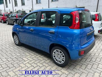 FIAT Panda 1.0 HYBRID 5 POSTI +PACK CITY KM 0