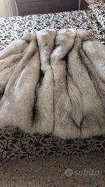 Pelliccia volpe bianca