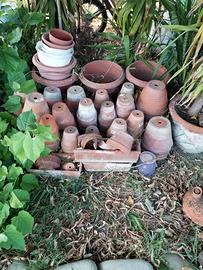 Vasi in terracotta