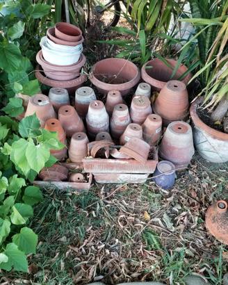 Vasi in terracotta