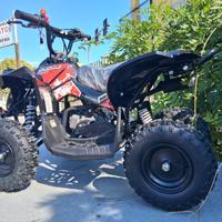 MINI QUAD RENEGADE 50cc 2 TEMPI RUOTE 6"