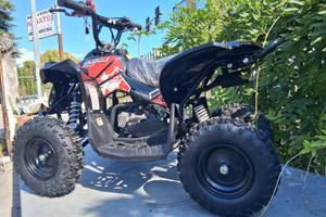 MINI QUAD RENEGADE 50cc 2 TEMPI RUOTE 6"