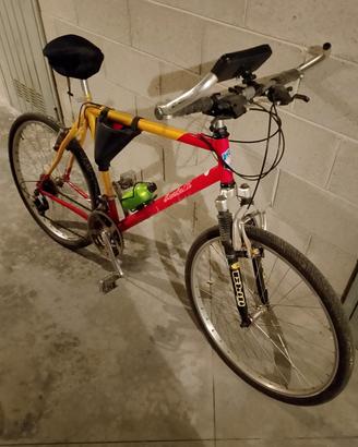 bicicletta uomo MTB 