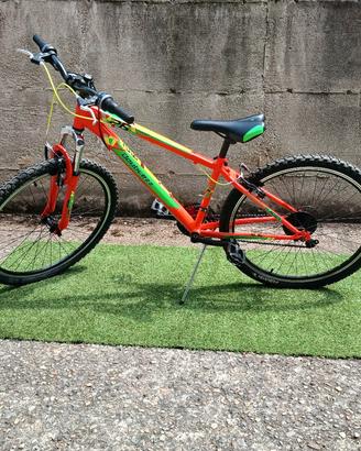 bicicletta doublez
