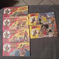 Striscia Tex anastatica 