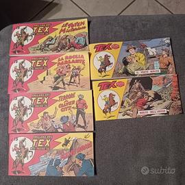 Striscia Tex anastatica 