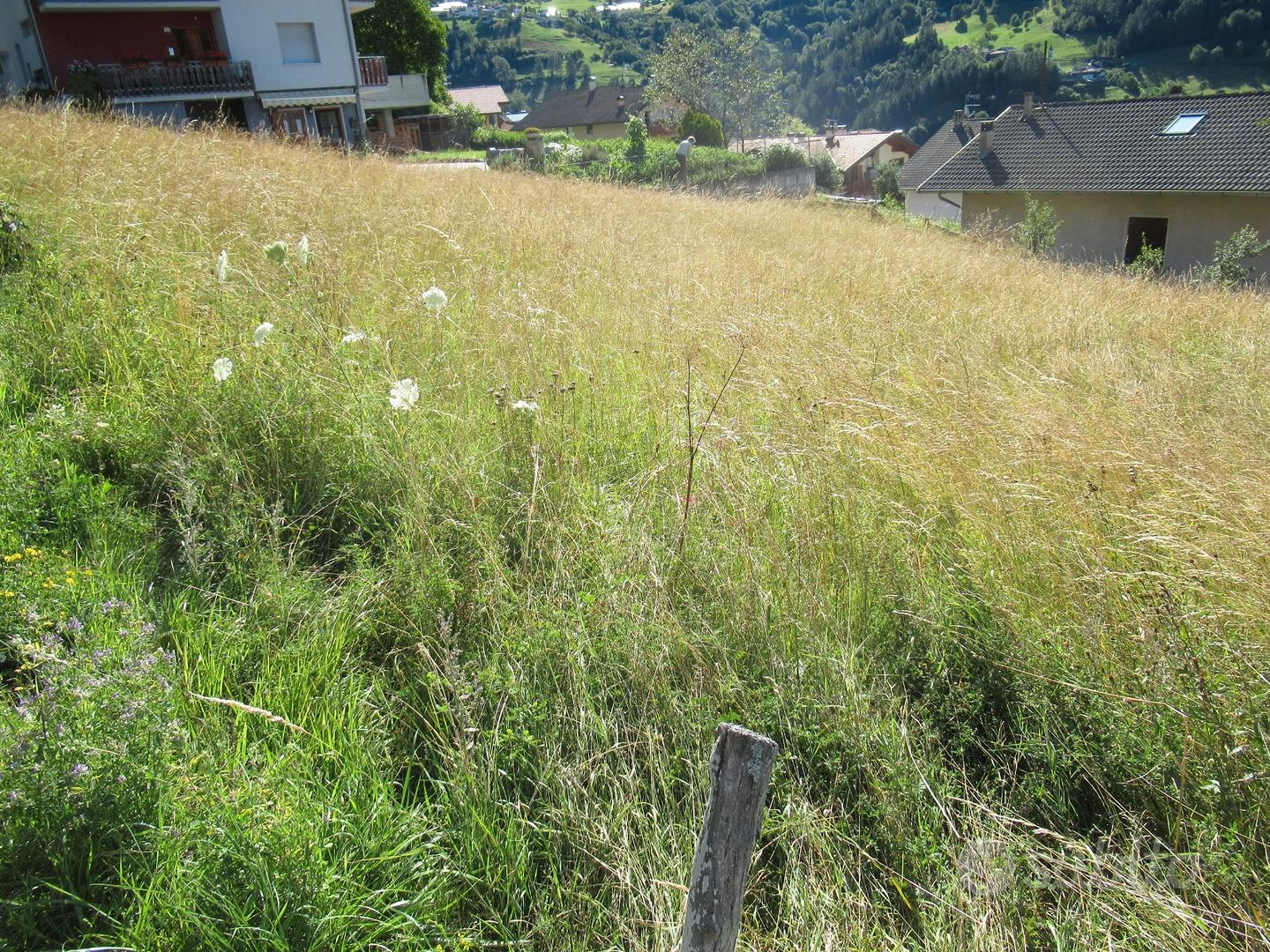 Sant'Orsola terme (Tn): Terreno edificabile 706 mq - Vista 5