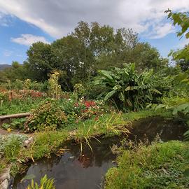 Terreno agricolo panoramico