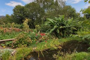 Terreno agricolo panoramico