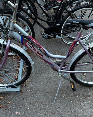 Bicicletta con cambio