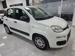 Fiat Punto 1.3 MJT II S&S 95 CV 5 porte Street