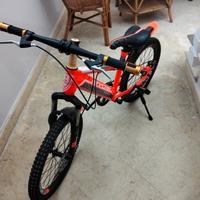 bicicletta 