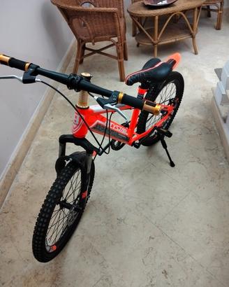 bicicletta 