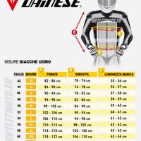 Giubbotto pelle Dainese