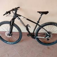 Mountain bike wilier