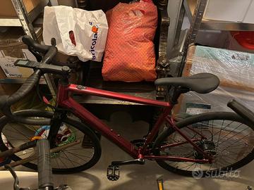 Bici pedalata assistita