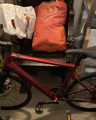 Bici pedalata assistita