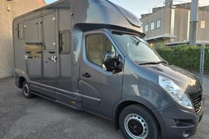 Van trasporto 2 cavalli Renault Master DCI