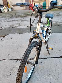 Bicicletta 20" bambino