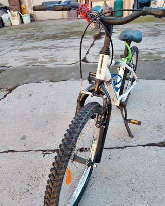 Bicicletta 20" bambino