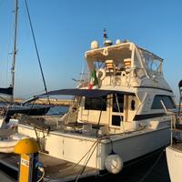 Bertram 50