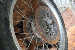 Ruota anteriore da 21 con doppio disco