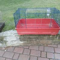 Gabbia per cavie o conigli d appartamento