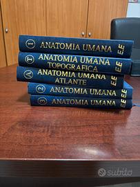 Anatomia Umana - Anastasi (Edi.Ermes),