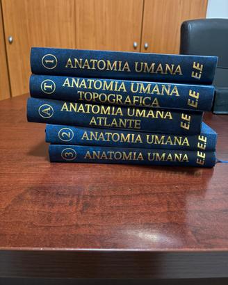 Anatomia Umana - Anastasi (Edi.Ermes),