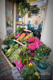 Attività AVVIATA PRONTA da subito