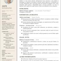 lavoro come cameriere/banconista