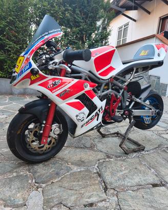 minimoto midi dm leggi bene