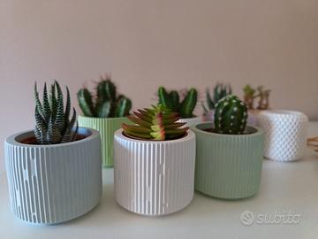 pianta grassa con vasetto artigianale in ceramica 