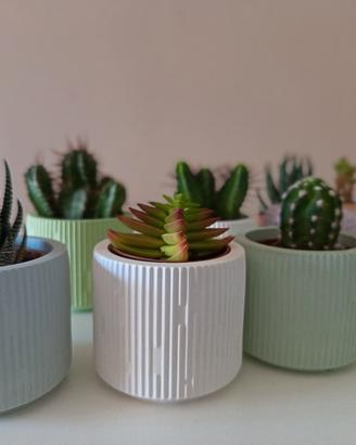 pianta grassa con vasetto artigianale in ceramica 
