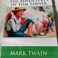 The adventures of Tom Sawyer