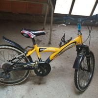 bici da 20 carrat