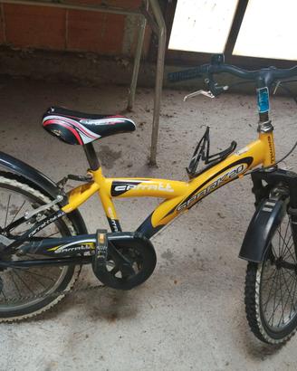 bici da 20 carrat