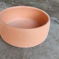Vaso terracotta per bonsai