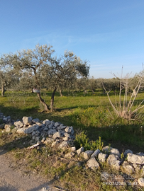 Terreno sito in Capurso
