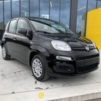 FIAT Panda 1.0 FireFly S&S Hybrid Icon
